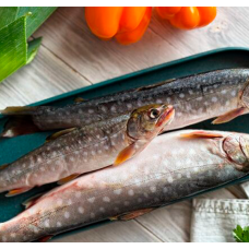 Голец свежемороженный