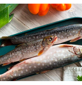 Голец свежемороженный